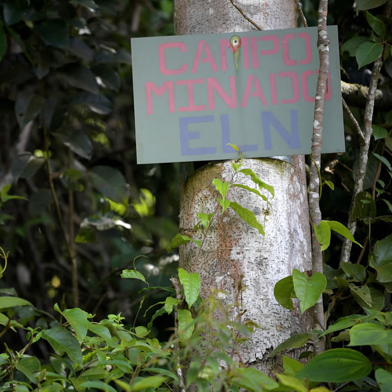 Cultura política mafiosa