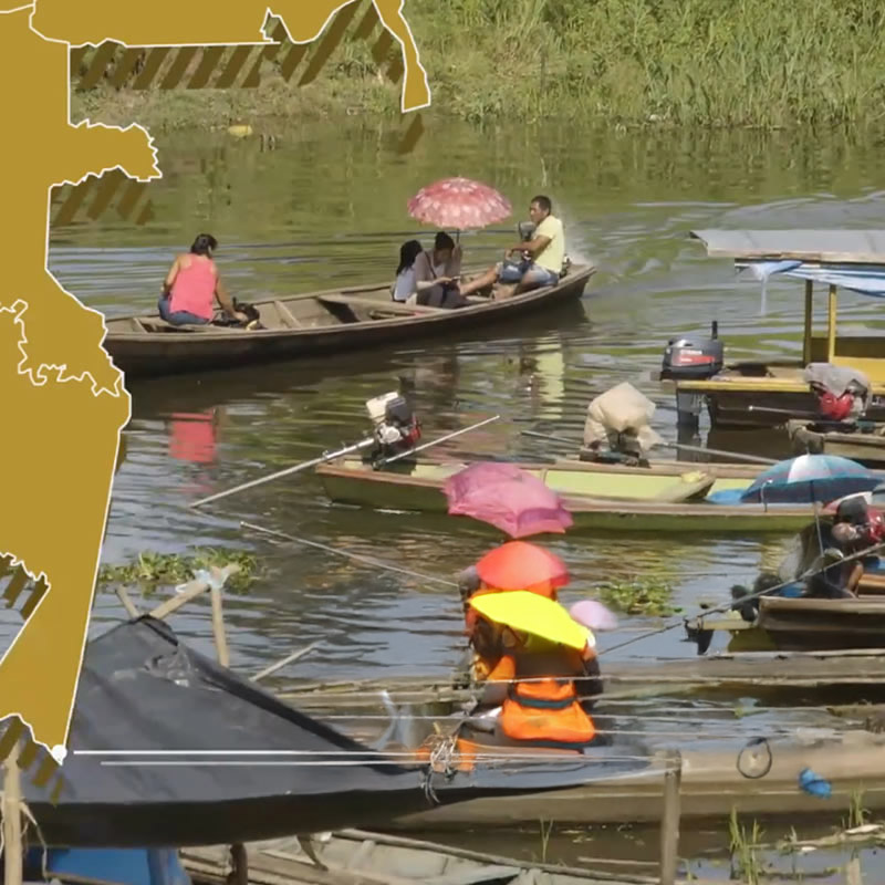 Leticia: Ciudad de humedales | Territorio360