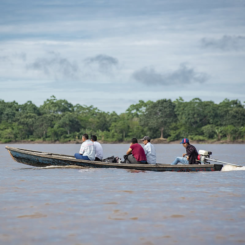 Territorios indígenas y áreas protegidas sostienen la “salud” ecológica de la Amazonia