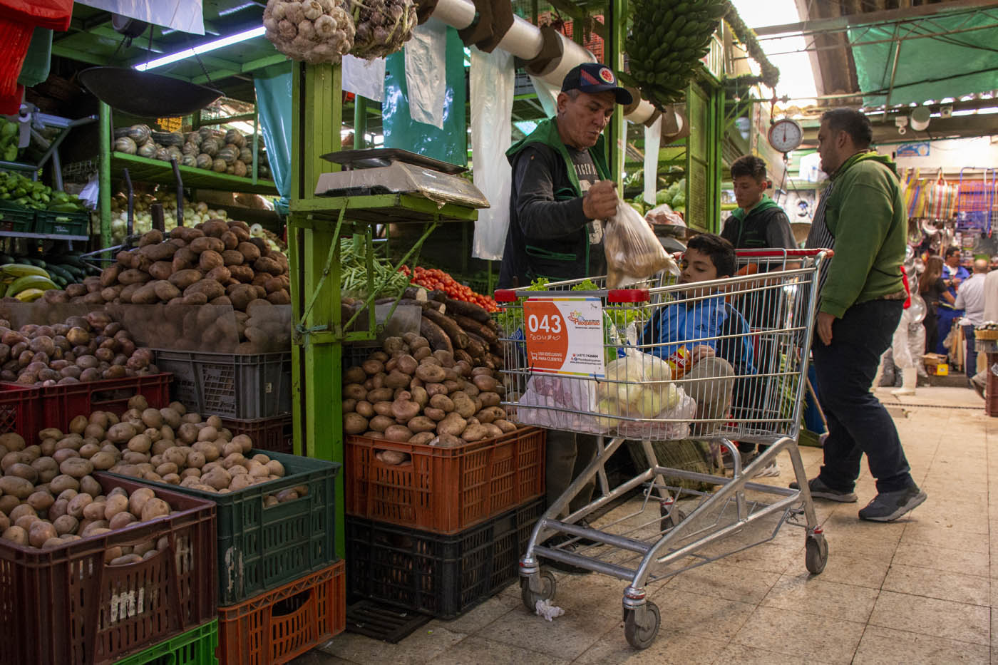 Soluciones para Alimentos archivos