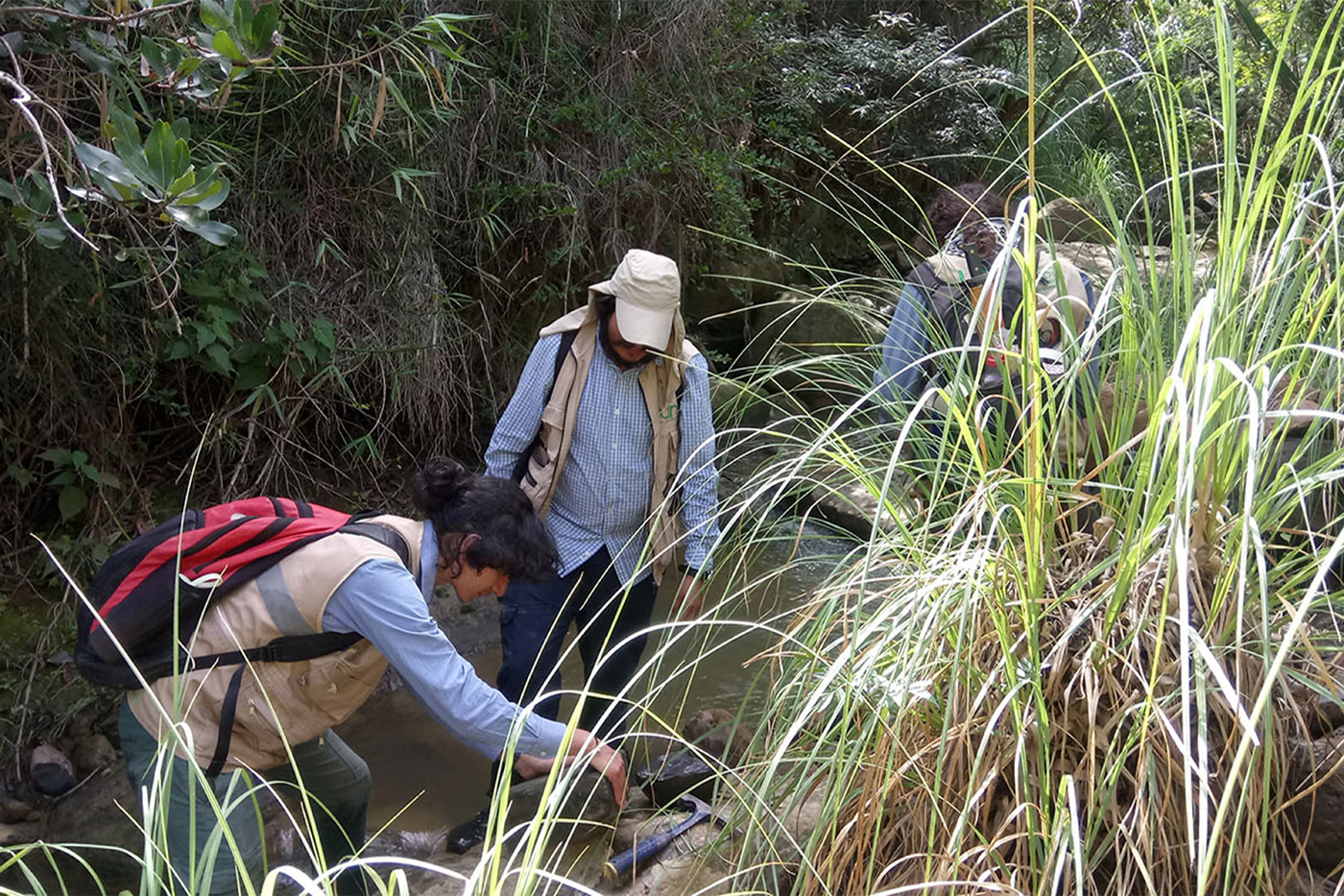 El trabajo de la experta Páramo ha influido en sus estudiantes, por lo que hoy su huella sigue presente en sus investigaciones. Foto: Grupo de Investigación en Paleontología de Vertebrados de la UNAL.