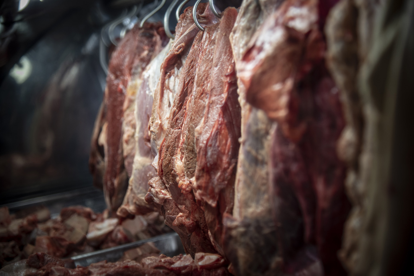 Aunque en Brasil, Colombia y Venezuela se usa especialmente la carne, en Argentina se utiliza su cuero para marroquinería. Foto: archivo Unimedios.
