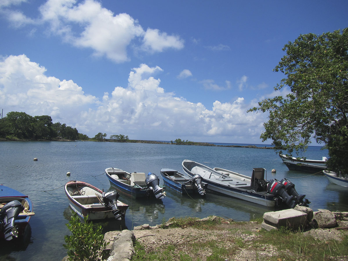 Periódico UNAL - The sustainable challenge to manage artisanal fishing ...