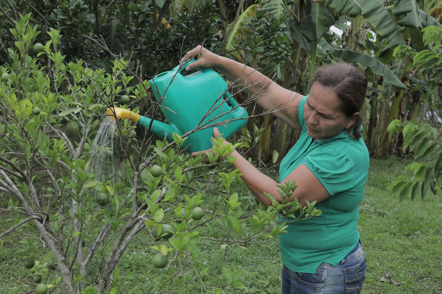 peri-dico-unal-rural-women-and-the-process-of-land-empowerment